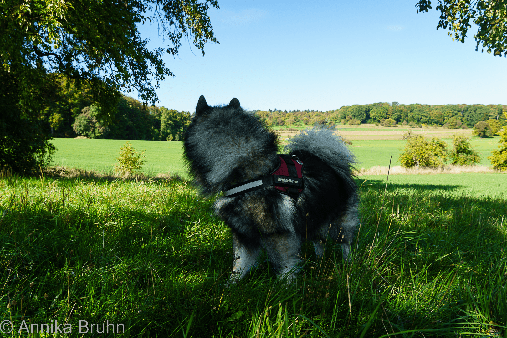 Noch einmal zurückschauen!